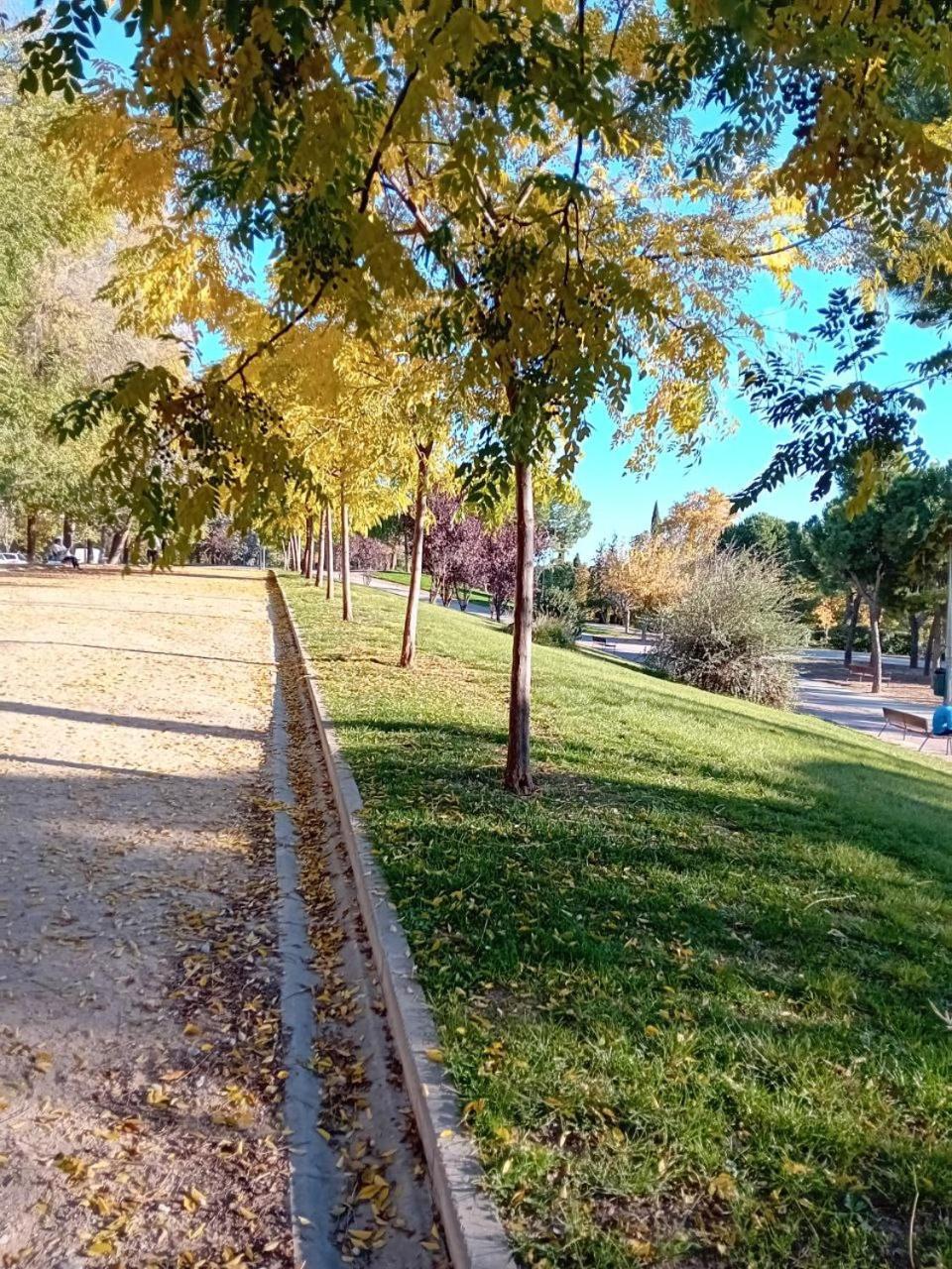 Smart Suite Madrid Eksteriør bilde